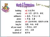 冀教版八年级英语下册--Unit 1 Lesson 4  The Spring City（课件+素材）