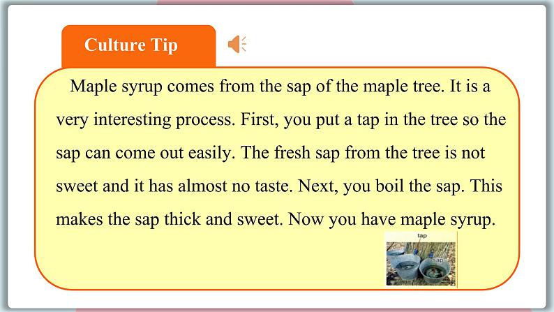 2022--2023学年冀教版七年级英语下册-Unit 6 Lesson 34 Steven's Report（课件+素材）08