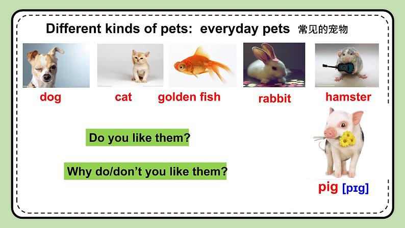 Unit 3 Our Hobbies《Topic1 SectionD》课件第7页