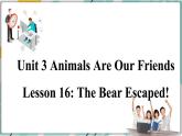 2022--2023学年冀教版八年级英语下册--Unit 3 Lesson 16 The Bear Escaped（课件+素材）