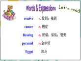 冀教版八年级英语下册--Unit 4 Lesson 22 Travel on the Internet（课件+素材）