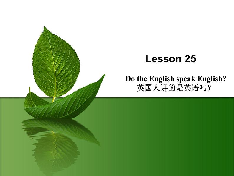 新概念英语第二册课件Lesson25（共13页）第1页