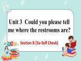 人教版九年级全一册英语Unit 3 SectionB (3a-self check)课件+教案