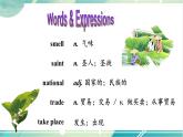人教版九年级全一册英语Unit 6 Section A（3a-3c）课件+教案+音视频素材