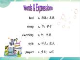 人教版九年级全一册英语Unit 6 Section A（2a-2d）课件+教案+音视频素材