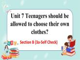 人教版九年级全一册英语Unit 7 SectionB（3a-Self Check）课件+教案
