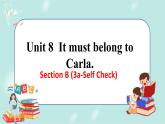 人教版九年级全一册英语Unit 8 Section B （3a-Self Check）课件+教案