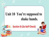 人教版九年级全一册英语Unit 10 Section B (3a-Self Check)课件+教案