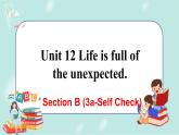 人教版九年级全一册英语Unit 12 Section B(3a-Self Check)课件+教案