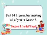 人教版九年级全一册英语Unit 14 Section B(3a-Self Check)课件+教案