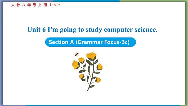 Unit 6 Section A (Grammar Focus-3c)--2021--2022学年人教版八年级英语下册 课件01