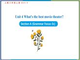 Unit 4 Section A (Grammar Focus-3c)--2021--2022学年人教版八年级英语下册 课件