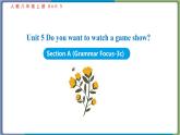 Unit 5 Section A (Grammar Focus-3c)--2021--2022学年人教版八年级英语下册 课件