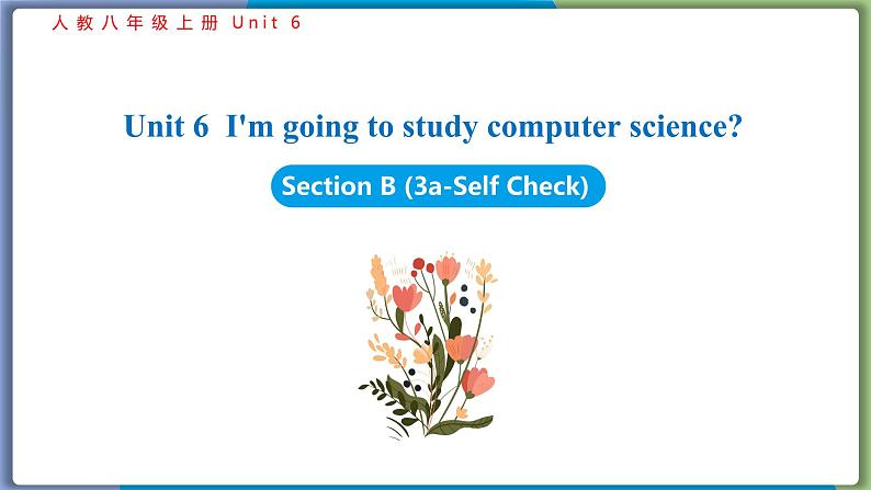 Unit 6 Section B (3a-Self Check)--2021--2022学年人教版八年级英语下册 课件01
