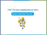 Unit 3 Section A (Grammar Focus-3c)--2021--2022学年人教版八年级英语下册 课件