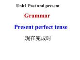 Unit+1+Grammar2+課件+2021-2022學(xué)年牛津譯林版英語八年級下冊