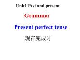 Unit+1+Grammar2+课件+2021-2022学年牛津译林版英语八年级下册