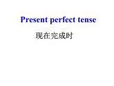 Unit+1+Grammar2+課件+2021-2022學(xué)年牛津譯林版英語八年級下冊