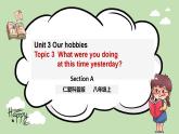 Unit 3 Our Hobbies 《Topic3 SectionA》课件+教案