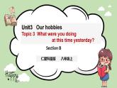 Unit 3 Our Hobbies 《Topic3 SectionB》课件+教案