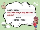 Unit 3 Our Hobbies 《Topic3 SectionC》课件+教案