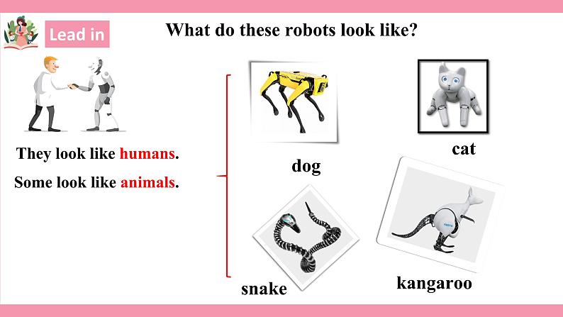 unit7 Will people have robots Section B 2a-2e 课件+教案+练习05