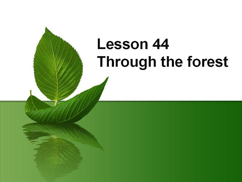 新概念英语第二册课件Lesson44（共29页）01