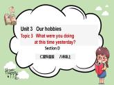 Unit 3 Our Hobbies 《Topic3 SectionD》课件+教案