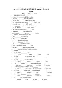 初中英语牛津译林版七年级上册Lesson 5 Wonderful things第1课时课时训练