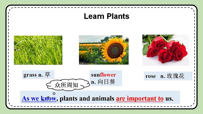 Unit 4 Our World《Topic1 SectionB》课件第6页