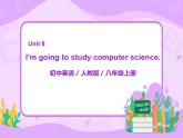 人教版新目標(biāo)8上Unit 6 Section B（2a-2e)課件PPT