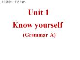 Unit1 Know yourself GrammarA课件 2022-2023学年译林版英语九年级上册