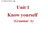 Unit1 Know yourself GrammarA課件 2022-2023學(xué)年譯林版英語九年級上冊