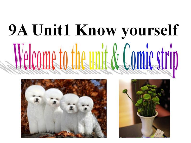 Unit1 Know yourself Welcome to the unit课件 2022-2023学年译林版英语九年级上册01