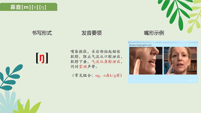 2022年国际音标辅音音素鼻音 [m][n][ŋ] 舌侧音[l] 半元音[j][w]课件第6页