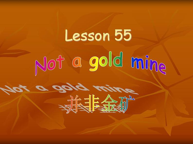 新概念英语第二册课件Lesson55-56（共19页）第1页