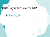 人教版新目标7年级上册英语Unit5 Do you have a soccer ball SectionA (2a-2d)课件+教案+练习+音频