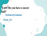 人教版新目标7年级上册英语Unit5 Do you have a soccer ball SectionA (Grammar Focus-3c)课件+教案+练习