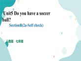 人教版新目标7年级上册英语Unit5 Do you have a soccer ball SectionB(2a -Self check课件+教案+练习+音频