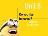 Unit 6 Do you like bananas Section B 3a-self check  课件+练习