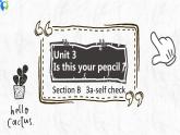 Unit 3 Is this your pencil Section B 3a-self check 课件+练习