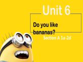Unit 6 Do you like bananas Section A 1a-2d 课件+练习+音频