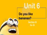 Unit 6 Do you like bananas Section B 1a-2c  课件+练习+音频
