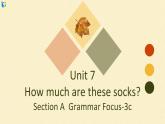 Unit7 How much are these socks Section A Grammar Focus-3c 课件+练习