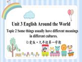 Unit 3 English Around the World Topic 2 课件 2022-2023学年仁爱版英语九年级上册