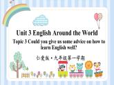 Unit 3 English Around the World Topic 3 课件 2022-2023学年仁爱版英语九年级上册