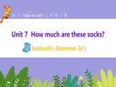 人教版英语七年级上册：Unit 7 How much are these socks-SectionA(Grammar-3c).课件pptx