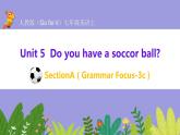 人教版英语七年级上册：Unit5 Do you have a soccor ball SectionA(Grammar-3c)课件