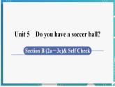 人教版七年级英语上册--Unit 5 Do you have a soccer ball？第5课时 Section B (2a－3c)& Self Check（课件）
