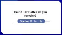 人教新目标 (Go for it) 版八年级上册Unit 2 How often do you exercise?Section B备课ppt课件